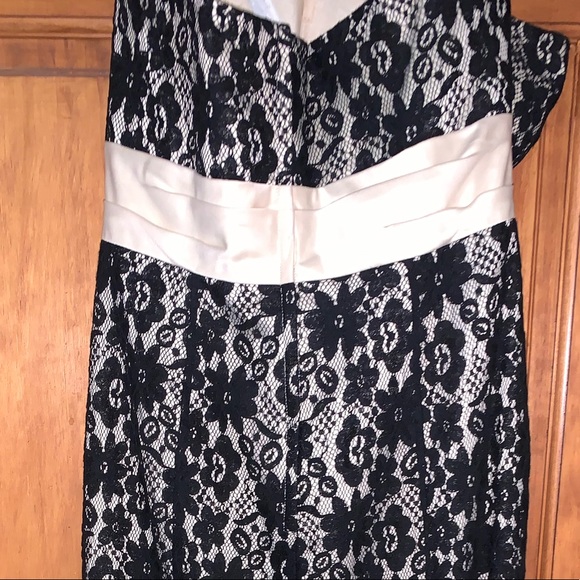 Campaign/black lace dress - Picture 4 of 5